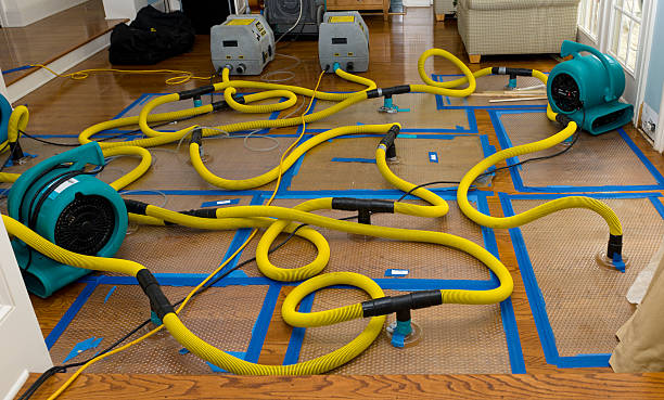 Professional Crawl Space Water Removal technician working in Mineral Point, MO